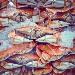 Crabs packed in ice waiting to be chosen and eaten in Monterey, California NotSoSAHM