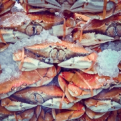 Crabs packed in ice waiting to be chosen and eaten in Monterey, California NotSoSAHM