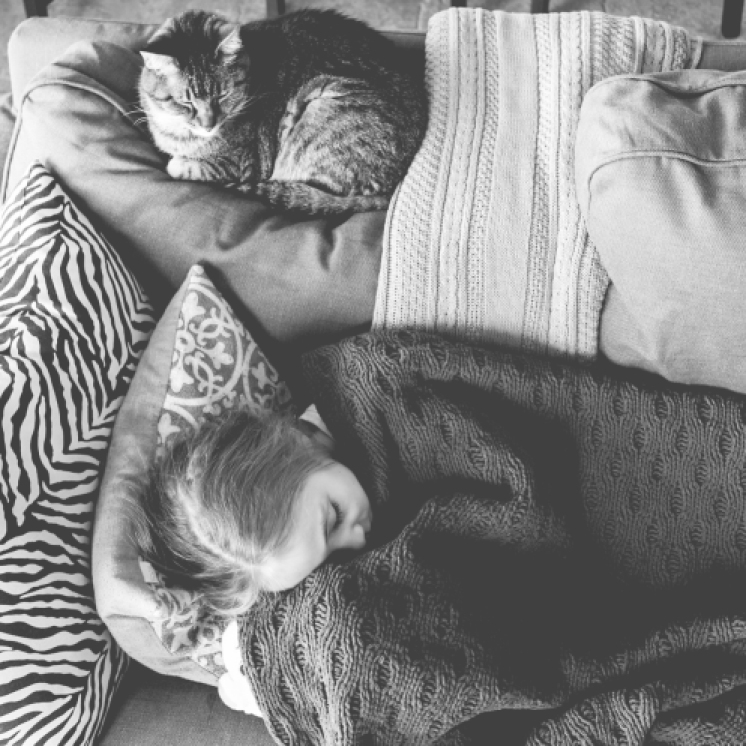 Girl sleeps on couch with cat. Photo by VSD Photography
