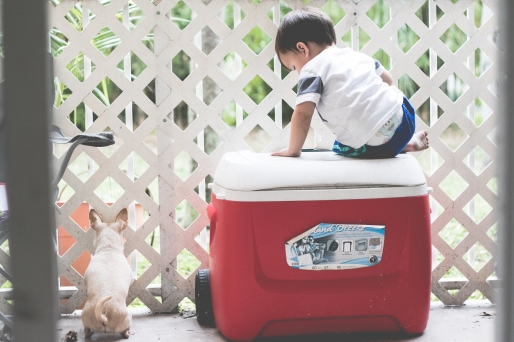A boy sits on a cooler. Photo by VSD Photography
